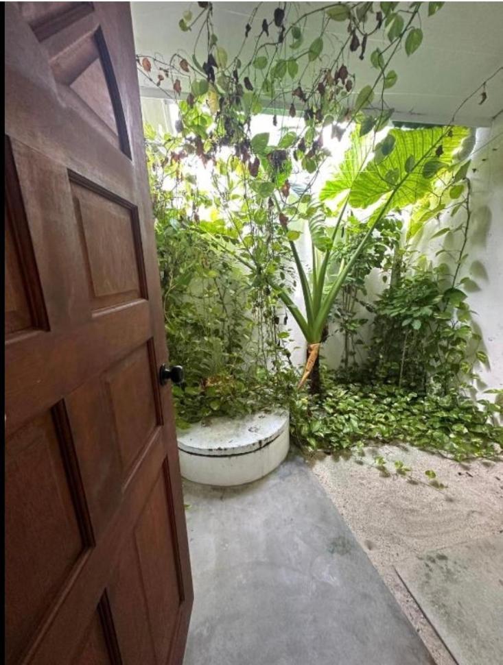 Hotel Aqua Oasis Thoddoo Zewnętrze zdjęcie